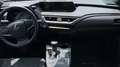Lexus UX 250h Premium 4WD - thumbnail 9