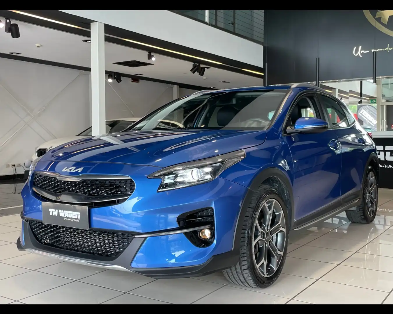 Kia XCeed 1.6 CRDi 136 CV MHEV iMT 2022 * IVA * - 1