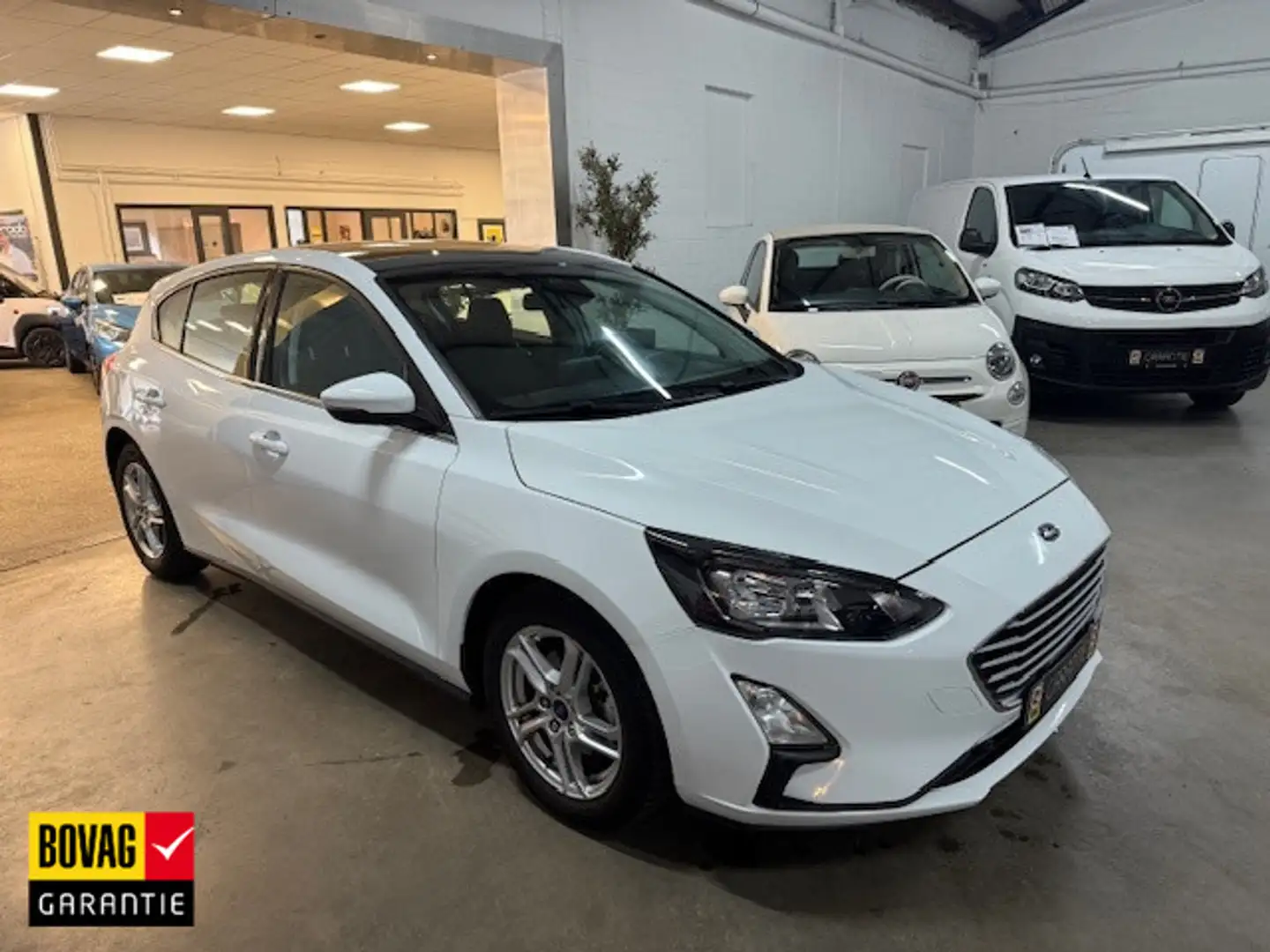 Ford Focus 1.0 EBH Tr Ed. bns / PANORAMADAK / CAMERA / NAVI / Blanc - 1