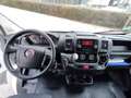 Fiat Ducato 33 2.3 Multijet Furgon Medio 130cv White - thumbnail 12