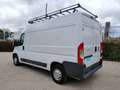 Fiat Ducato 33 2.3 Multijet Furgon Medio 130cv White - thumbnail 5