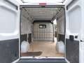 Fiat Ducato 33 2.3 Multijet Furgon Medio 130cv White - thumbnail 8