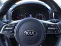 Kia Sportage 1.6 CRDI 136 CV DCT7 2WD Mild Hybrid Style Grey - thumbnail 15