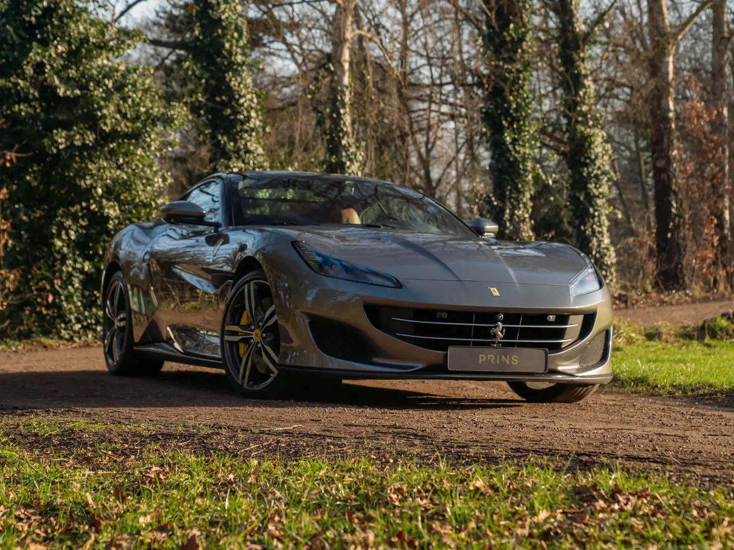 Ferrari Portofino 3.9 V8 HELE | Historical color | JBL | Camera v+a Gris - 2