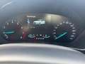 Ford Focus Focus 1,5 EcoBoost ST-Line X Aut. ST-Line X Grau - thumbnail 15