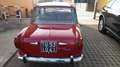 Fiat 1100 D - VERNICE ORIGINALE - UNICO PROPR. Rot - thumbnail 9
