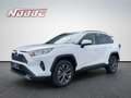 Toyota RAV 4 2.5 4x2 Hybrid Team Deutschland Weiß - thumbnail 1