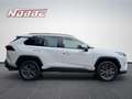 Toyota RAV 4 2.5 4x2 Hybrid Team Deutschland Weiß - thumbnail 6