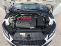 Audi TT RS TT III 2020 Coupe TTRS Coupe 2.5 quattro s-tronic Wit - thumbnail 8