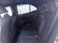 Toyota Yaris Cross Yaris Cross 1.5 Hybrid 130 CV 5p. E-CVT GR SPORT Bianco - thumbnail 14