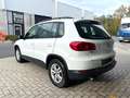 Volkswagen Tiguan 1.4 TSI Toit Ouvrant/Pano GPS Bluethoot ParkAssist Wit - thumbnail 7