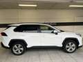 Toyota RAV 4 2.5 Hybrid AWD Team D Wit - thumbnail 3