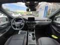 Ford Kuga 3ª serie 2.5 Full Hybrid 190 CV CVT 2WD ST-Line Grigio - thumbnail 8