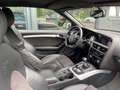 Audi A5 Cabriolet 2.0 TDI Braun - thumbnail 4