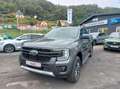Ford Ranger Wildtrak e-4WD DOKA elektr. Rollo/5JG Gris - thumbnail 1