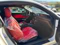 Ford Mustang Fastback 2.3 ecoboost 290cv "Allestimento Shelby" Bianco - thumbnail 13