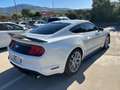 Ford Mustang Fastback 2.3 ecoboost 290cv "Allestimento Shelby" Blanc - thumbnail 10