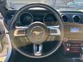 Ford Mustang Fastback 2.3 ecoboost 290cv "Allestimento Shelby" Bianco - thumbnail 15