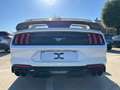 Ford Mustang Fastback 2.3 ecoboost 290cv "Allestimento Shelby" Bianco - thumbnail 4