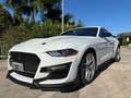 Ford Mustang Fastback 2.3 ecoboost 290cv "Allestimento Shelby" Bianco - thumbnail 2