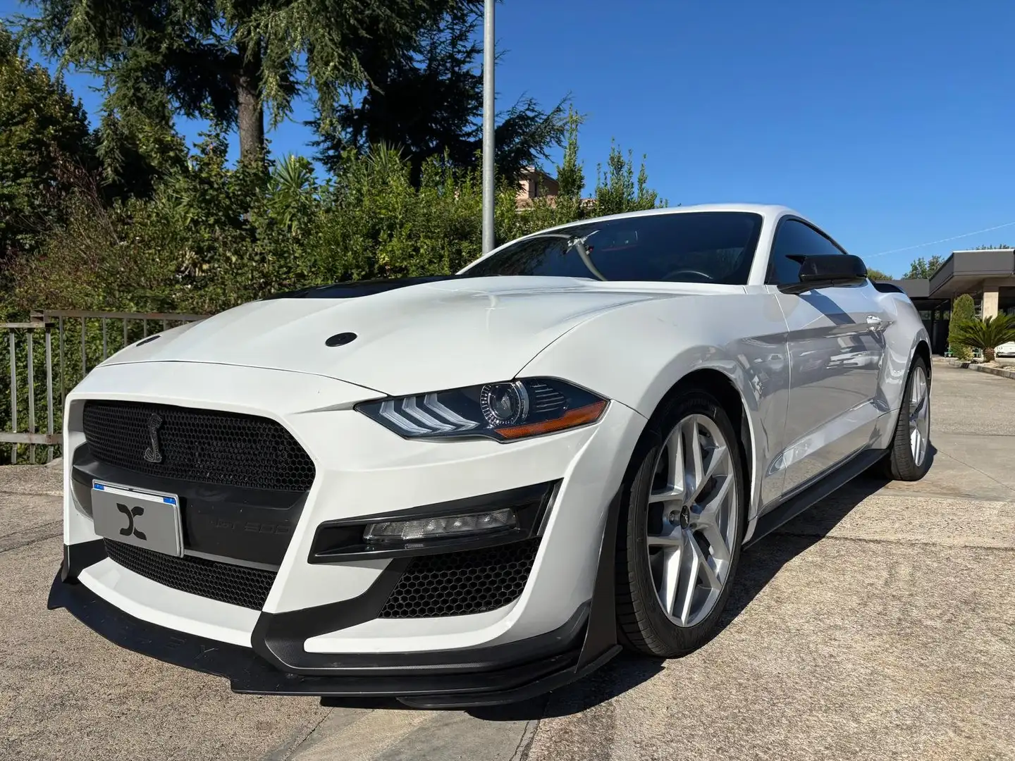 Ford Mustang Fastback 2.3 ecoboost 290cv "Allestimento Shelby" Bianco - 2