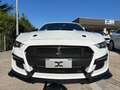 Ford Mustang Fastback 2.3 ecoboost 290cv "Allestimento Shelby" Bianco - thumbnail 9