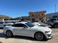 Ford Mustang Fastback 2.3 ecoboost 290cv "Allestimento Shelby" Bianco - thumbnail 6
