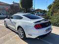 Ford Mustang Fastback 2.3 ecoboost 290cv "Allestimento Shelby" Blanc - thumbnail 5