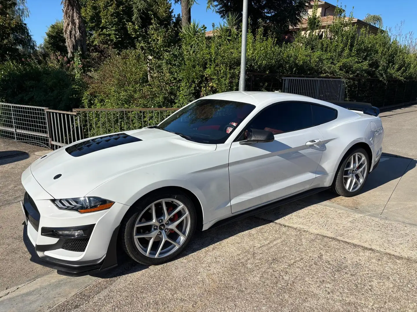 Ford Mustang Fastback 2.3 ecoboost 290cv "Allestimento Shelby" Bianco - 1