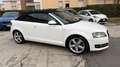 Audi A3 A3 II Cabriolet Cabrio 2.0 tdi s-Line Bianco - thumbnail 14