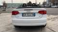 Audi A3 A3 II Cabriolet Cabrio 2.0 tdi s-Line Bianco - thumbnail 6