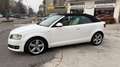 Audi A3 A3 II Cabriolet Cabrio 2.0 tdi s-Line Bianco - thumbnail 13