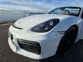 Porsche Boxster 3.8L 375CH SPYDER Blanc - thumbnail 4
