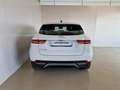 Jaguar E-Pace 2.0D I4 163 CV AWD Auto S *IVA ESPOSTA* Blanc - thumbnail 7