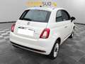 Fiat 500 HYBRID 1.0 HYBRID 70CV Bianco - thumbnail 5