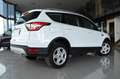 Ford Kuga 2.0TDCi Auto S&S Trend 4x2 150 Blanco - thumbnail 6