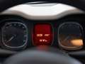 Fiat Panda Panda 1.3 mjt 16v Easy s Bianco - thumbnail 13
