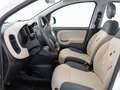 Fiat Panda Panda 1.3 mjt 16v Easy s Bianco - thumbnail 9