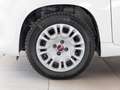 Fiat Panda Panda 1.3 mjt 16v Easy s Bianco - thumbnail 5
