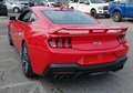 Ford Mustang GT COUPE' PREMIUM 2024 Rosso - thumbnail 3