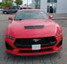 Ford Mustang GT COUPE' PREMIUM 2024 Rosso - thumbnail 2