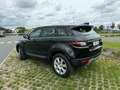 Rover Rover - thumbnail 3