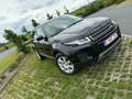Rover Rover - thumbnail 7