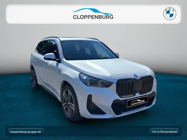 BMW X1 view 8