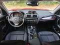 BMW 120 Serie 1 F/20-21  120d Sport 5p anno 2017 Červená - thumbnail 6
