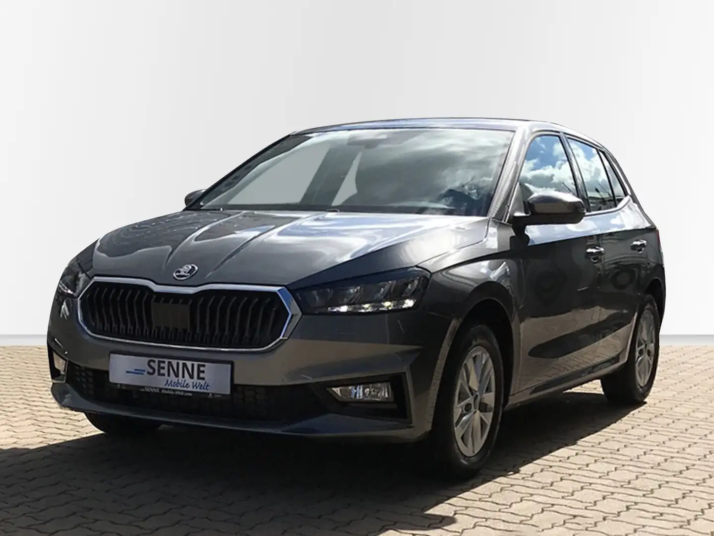 Skoda Fabia Fabia 1.0 TSI Selection LED,Klima,Kamera,Garantie Grau - 1
