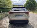 Lexus NX 350h Overtrail E-Four AWD CVT Brun - thumbnail 4