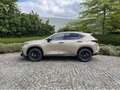 Lexus NX 350h Overtrail E-Four AWD CVT Brun - thumbnail 6