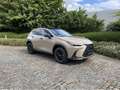 Lexus NX 350h Overtrail E-Four AWD CVT Brun - thumbnail 1