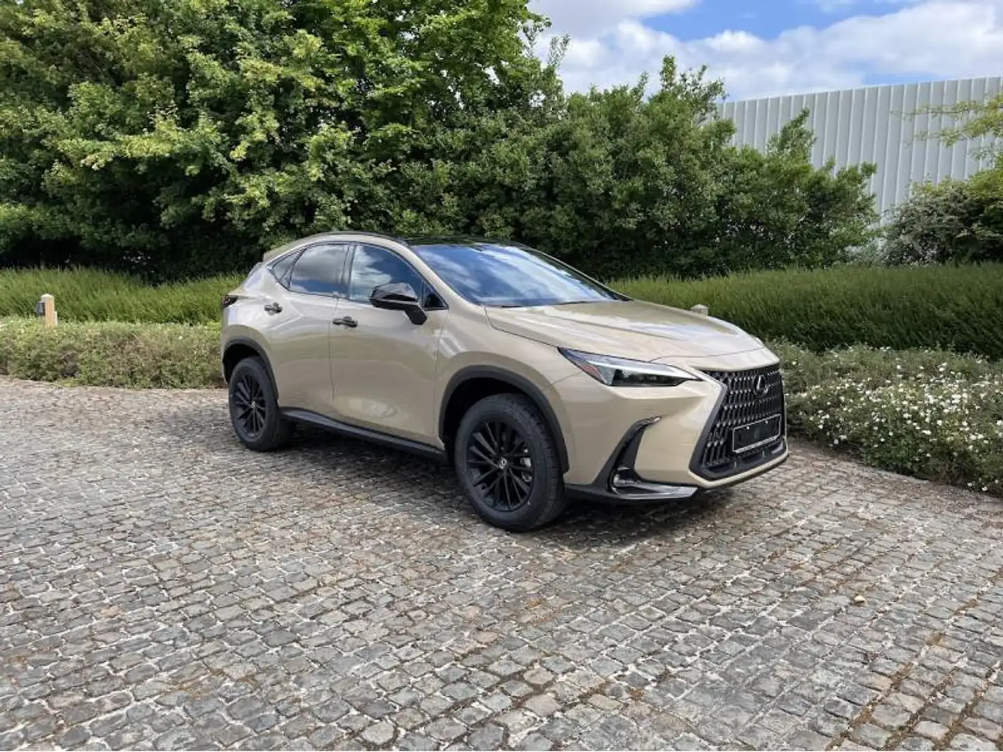 Lexus NX 350h Overtrail E-Four AWD CVT Hnědá - 1